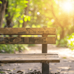 pngtree-wooden-bench-in-a-park-surrounded-by-nature-with-for-relaxation-picture-image_16021338