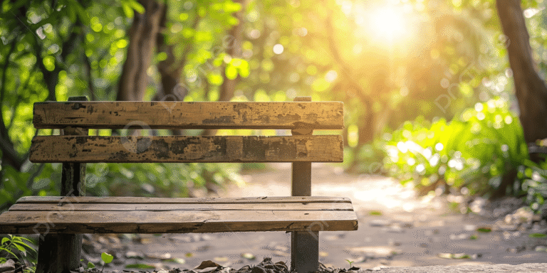 pngtree-wooden-bench-in-a-park-surrounded-by-nature-with-for-relaxation-picture-image_16021338