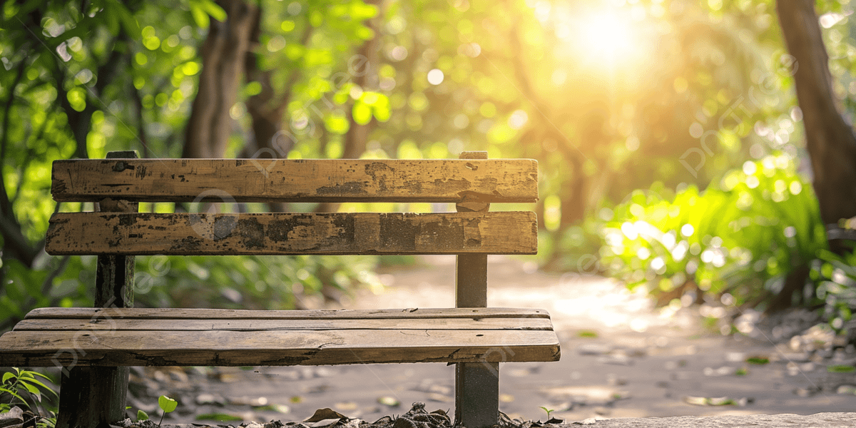 pngtree-wooden-bench-in-a-park-surrounded-by-nature-with-for-relaxation-picture-image_16021338