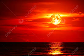 images (38)